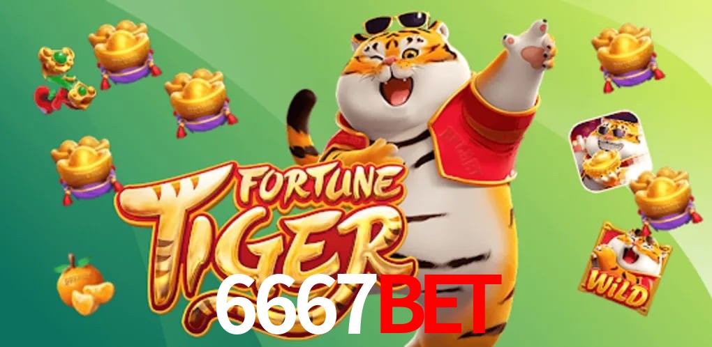 Player Reviews 6667bet