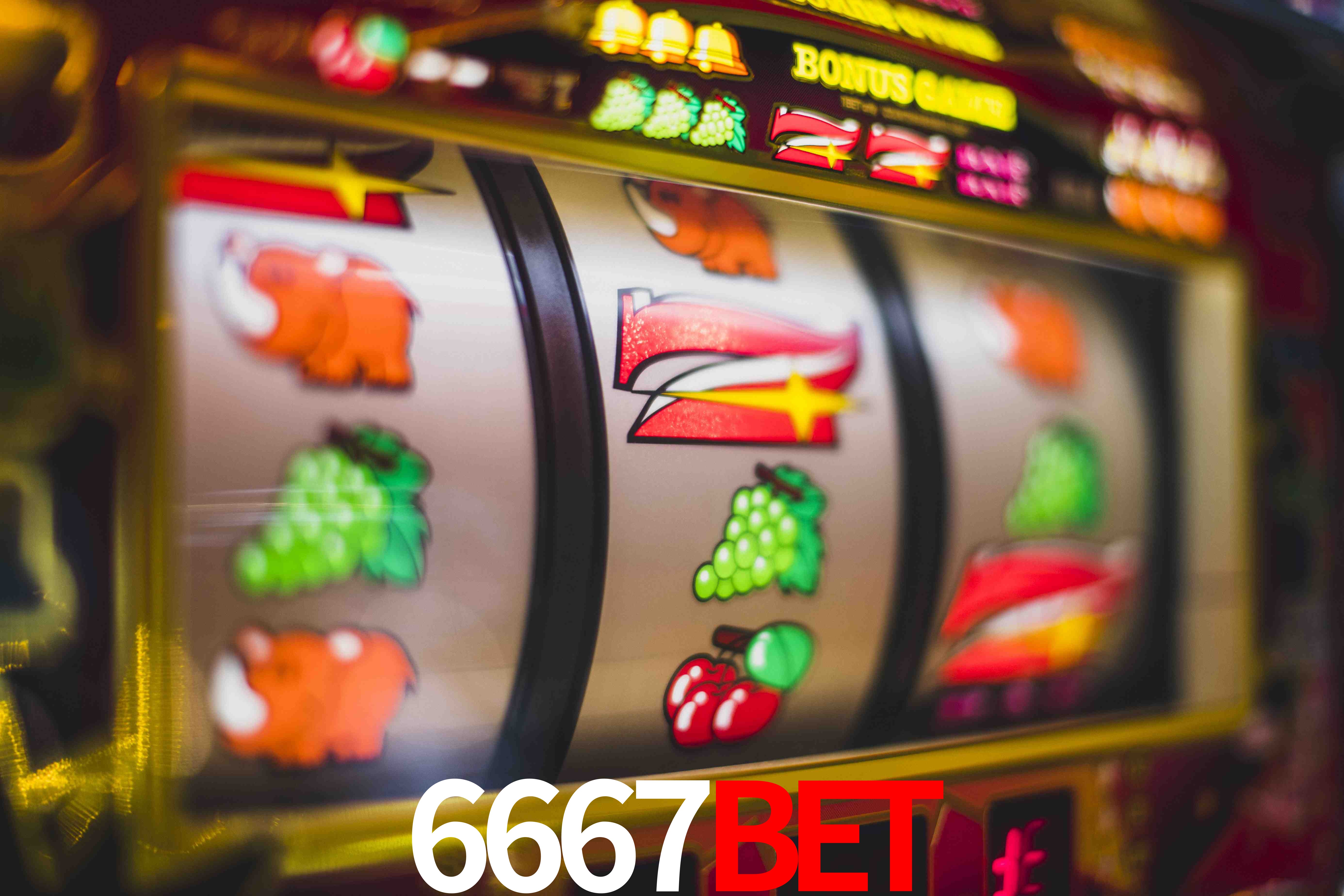 Tennis Betting 6667bet
